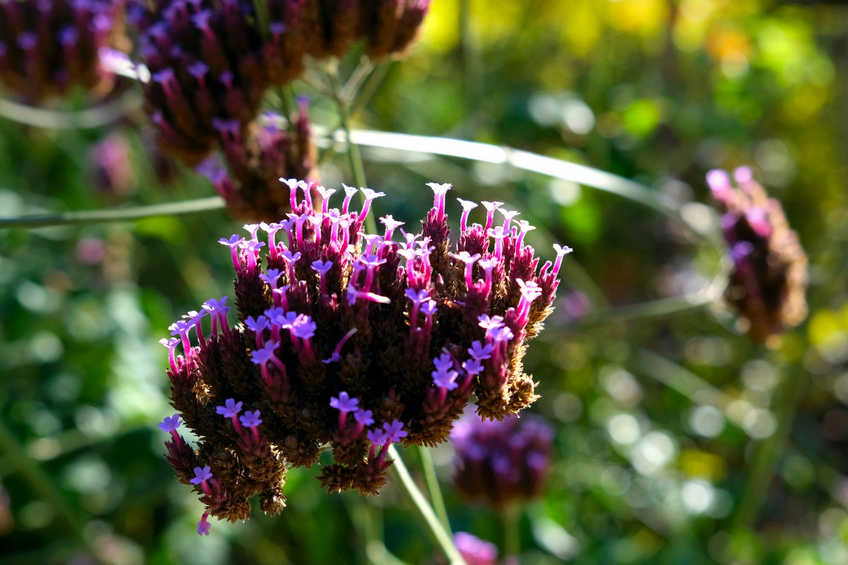 Impression de cadre personnalisé