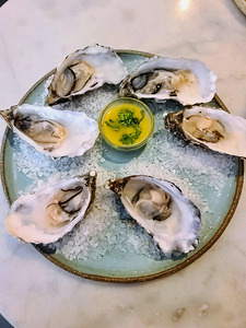 Silent Brine: The Oyster Sonata