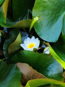 The Quiet Reveal: Beauty Beneath