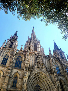 Gothic Roots Olive Crowns: The Cathedral at an Angle of Awe