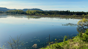 Serene Lakeside View with Forest and Hills