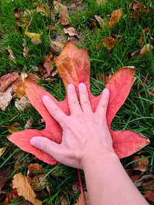 Holding Onto Fall : The Last Touch of Autumn