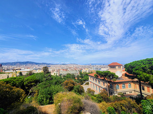 Skylines and Stories: Barcelona Hilltop View