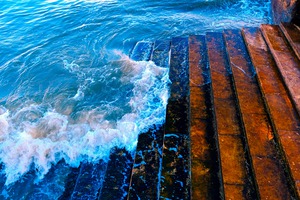 Step into the Wave 2