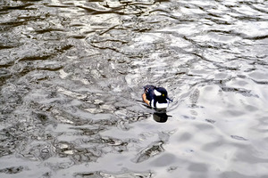 Only The Lonely Loon 1B