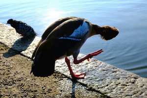 Is the Sky Falling...Just Checking