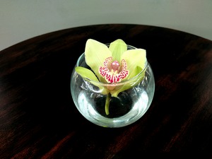 Glass Bloom 2