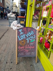 I Larvae You No Backbone Love