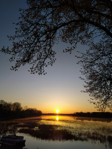 Golden Michigan Sunrise