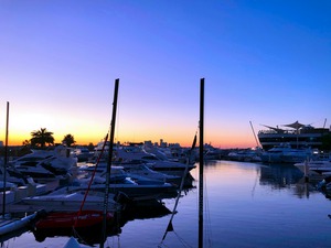 Docks of the Desert Dubai Style 2