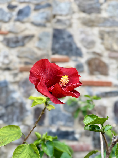 IMG 9957 Digital Download