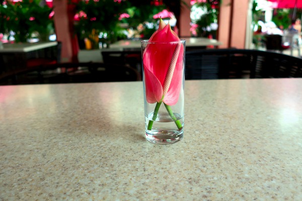 Glass Bloom 3 Digital Download