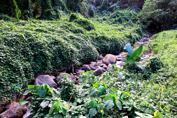 Hiking Hawaii 3 Téléchargement Numérique