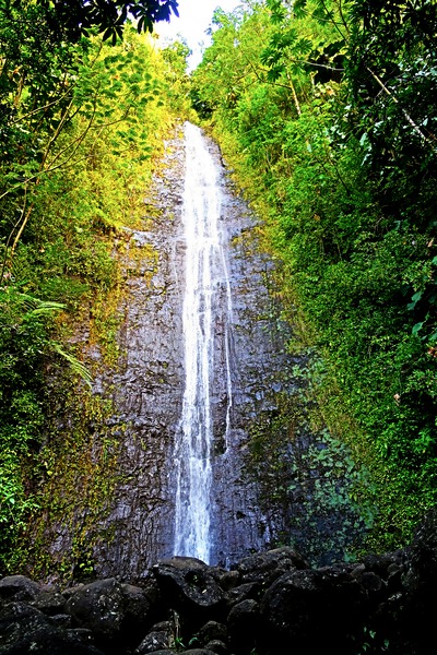 Falling for Colors B Print