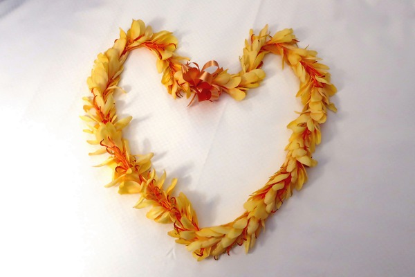 I Got Leid Digital Download