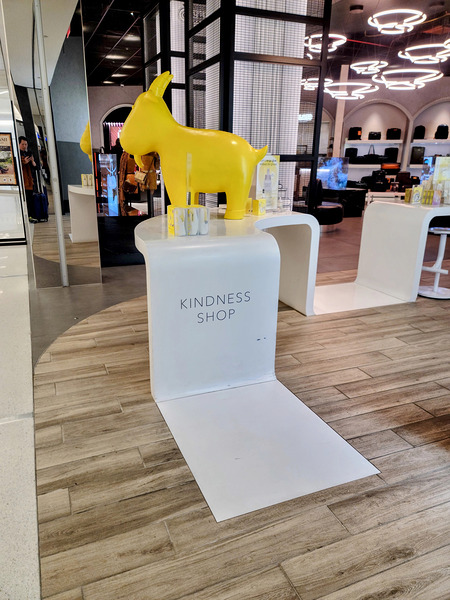 Shop for Kindness Téléchargement Numérique