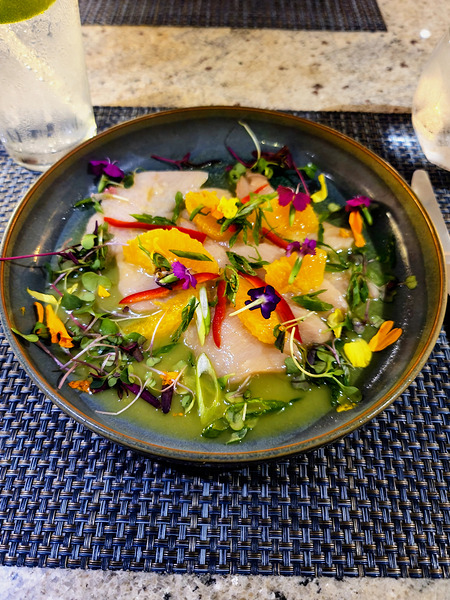 Tidal Hamachi Crudo Ceviche  Digital Download