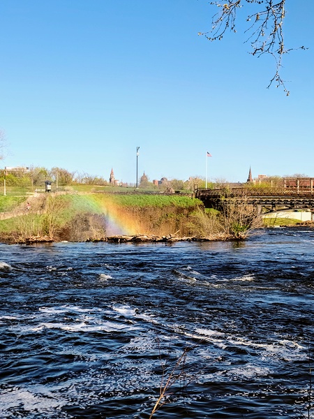 Rainbow Resilience at Paterson’s Edge Digital Download