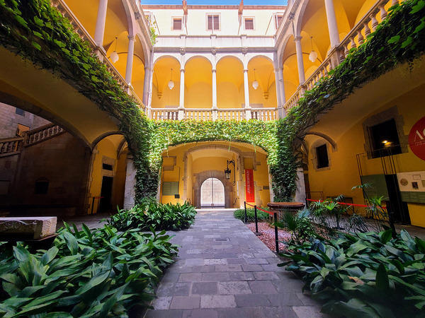  Solitude in Sunlight Print