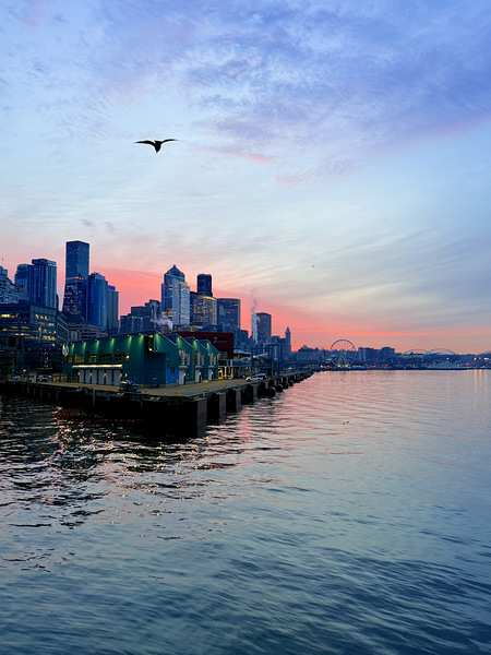 IMG 7331 Téléchargement Numérique