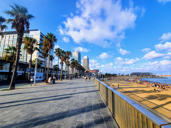 Barcelona Beach: Where the City Meets the Sea Digital Download