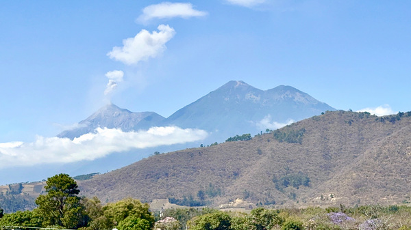 IMG 0088 Digital Download