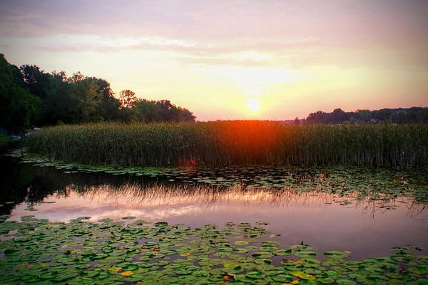 Over Lilyglass Waters: A Dawn Reawakens Téléchargement Numérique