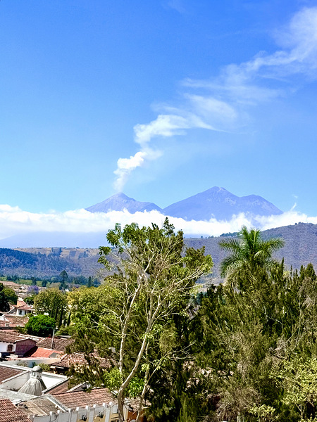 IMG 0148 Digital Download