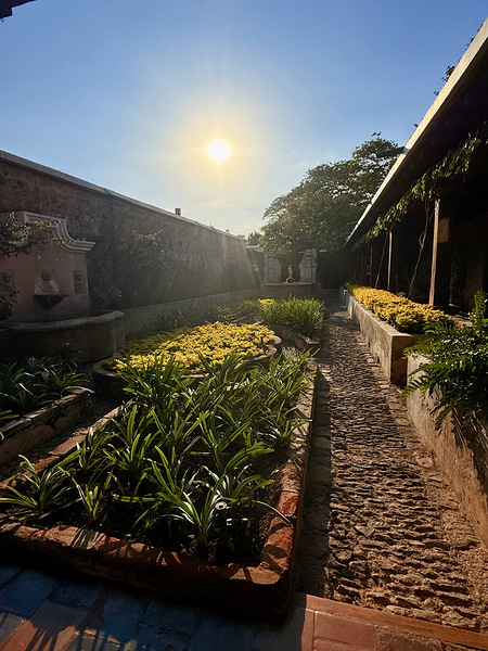 IMG 9939 Digital Download