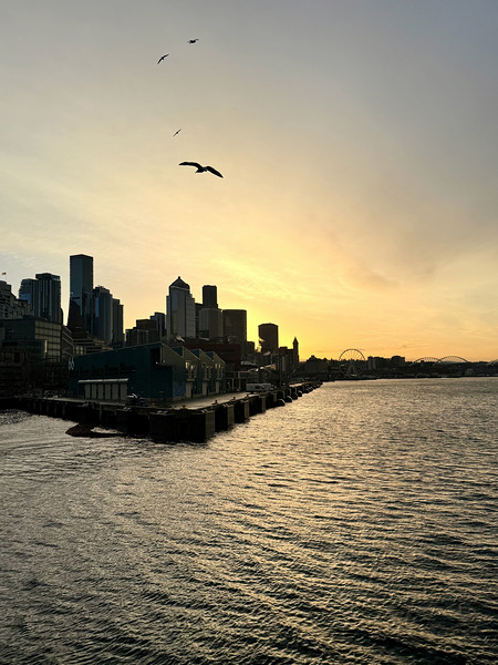 IMG 7995 Digital Download