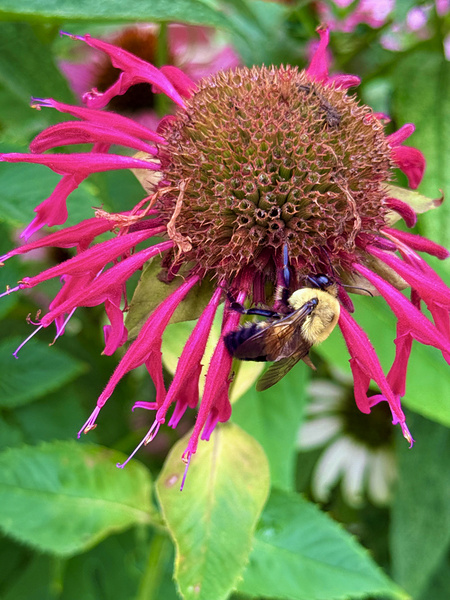 Vital Encounter Digital Download