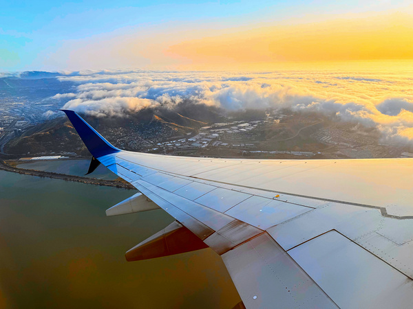 Wings over SF: Golden Fog Unveiled Digital Download