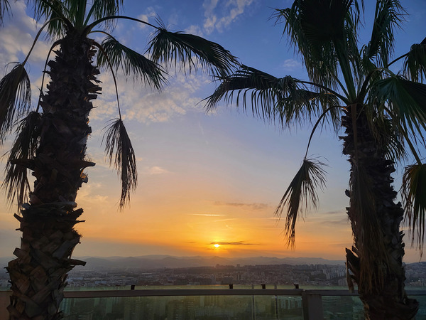 Between Palms and Possibility Digital Download