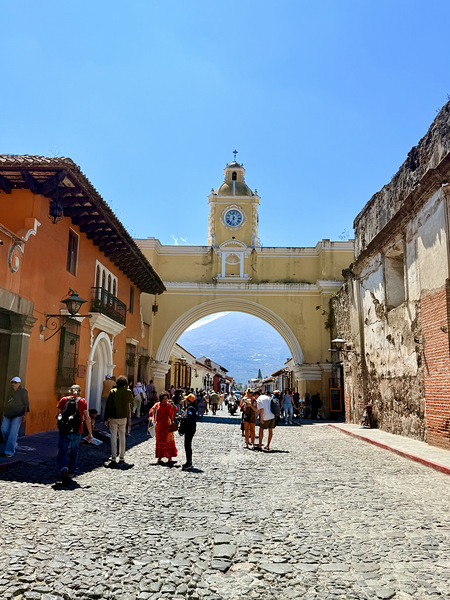 IMG 0219 Digital Download