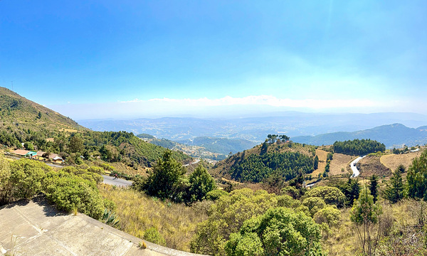 IMG 9665 Digital Download