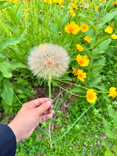 Cartography of a Wish Digital Download