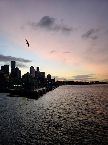 20260128 073236 Digital Download