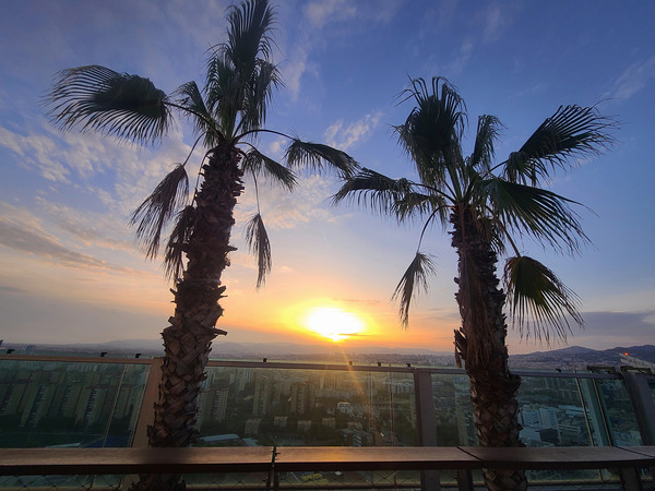 Palms Over the Skyline Print