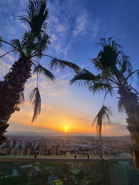 Golden Drift Between Palms Digital Download