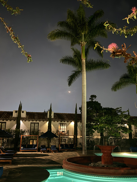 IMG 0437 Digital Download