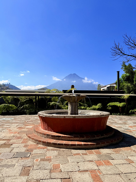 IMG 0032 Digital Download