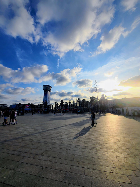 Where Light Finds the Silence Téléchargement Numérique