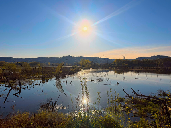Sunrise Over Tranquil Wetlands with Sunbeam Reflection Digital Download