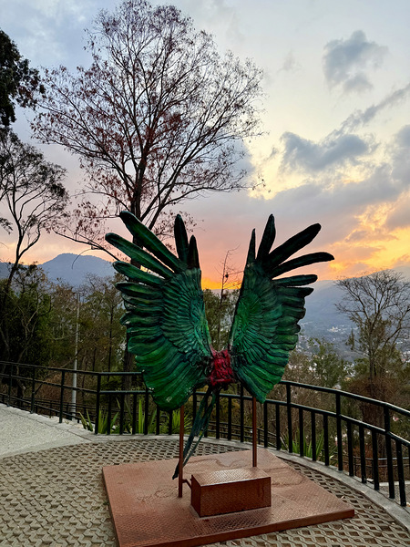 IMG 0496 Digital Download