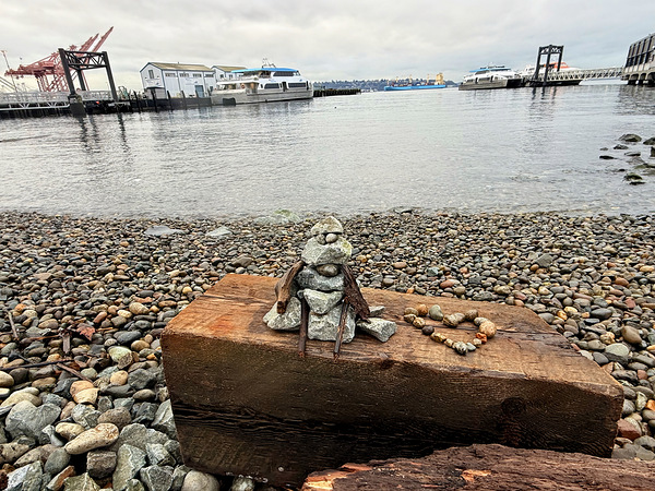 IMG 8815 Digital Download