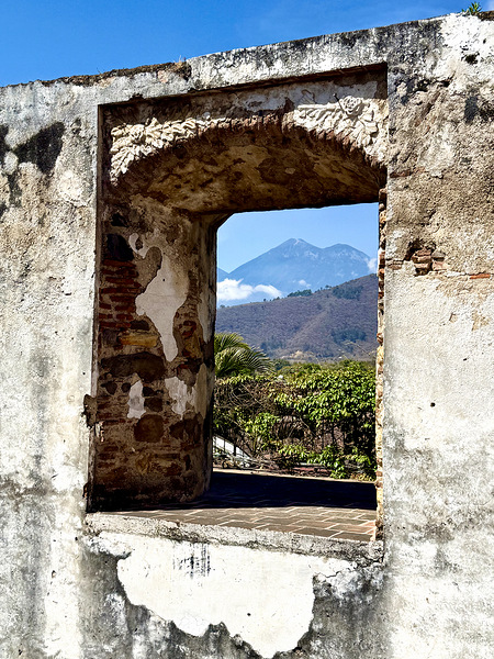 IMG 0101 Digital Download