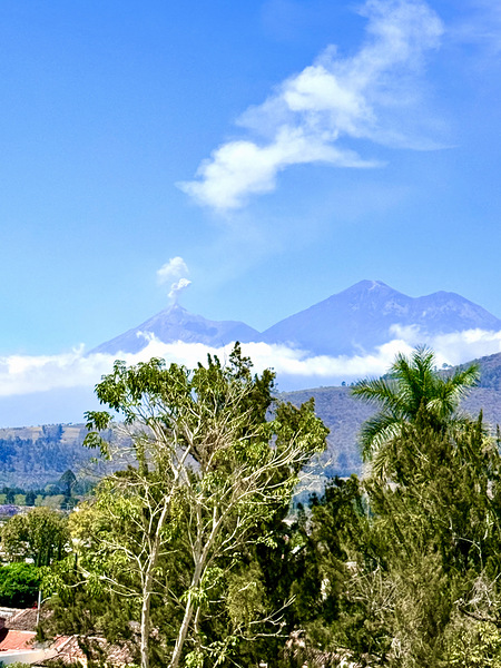 IMG 0158 Digital Download