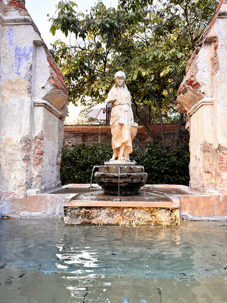 IMG 9961 Digital Download