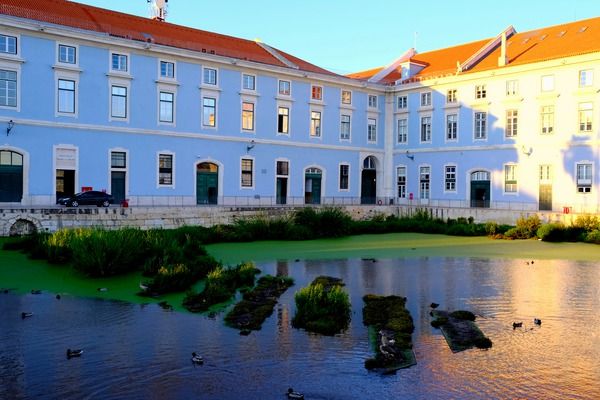 Walking through Lisbon 3 Digital Download