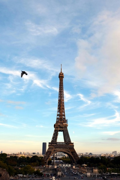 Eiffel Tower 1 Print